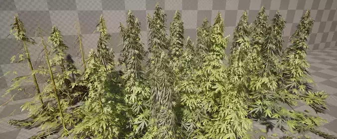Cannabis Pack Lowpoly Low-poly 3D model