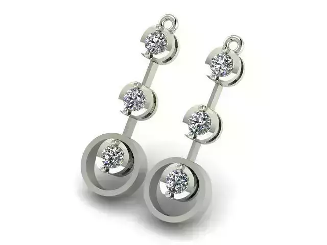 Earrings T01165