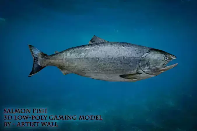 Salmon Fish Lowpoly 3D Gaming model Low-poly 3D model