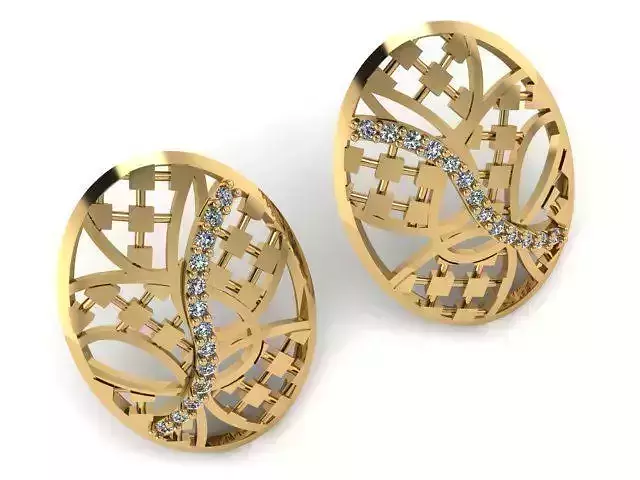 Earrings T01167