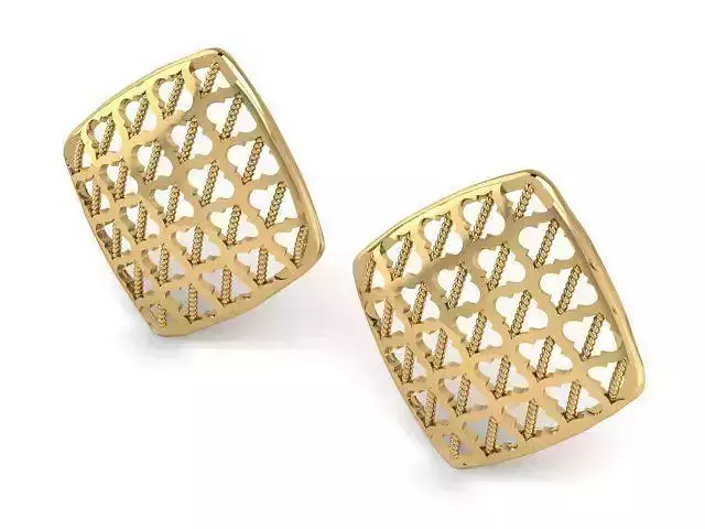  Earrings T01168