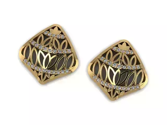 Earrings T01169