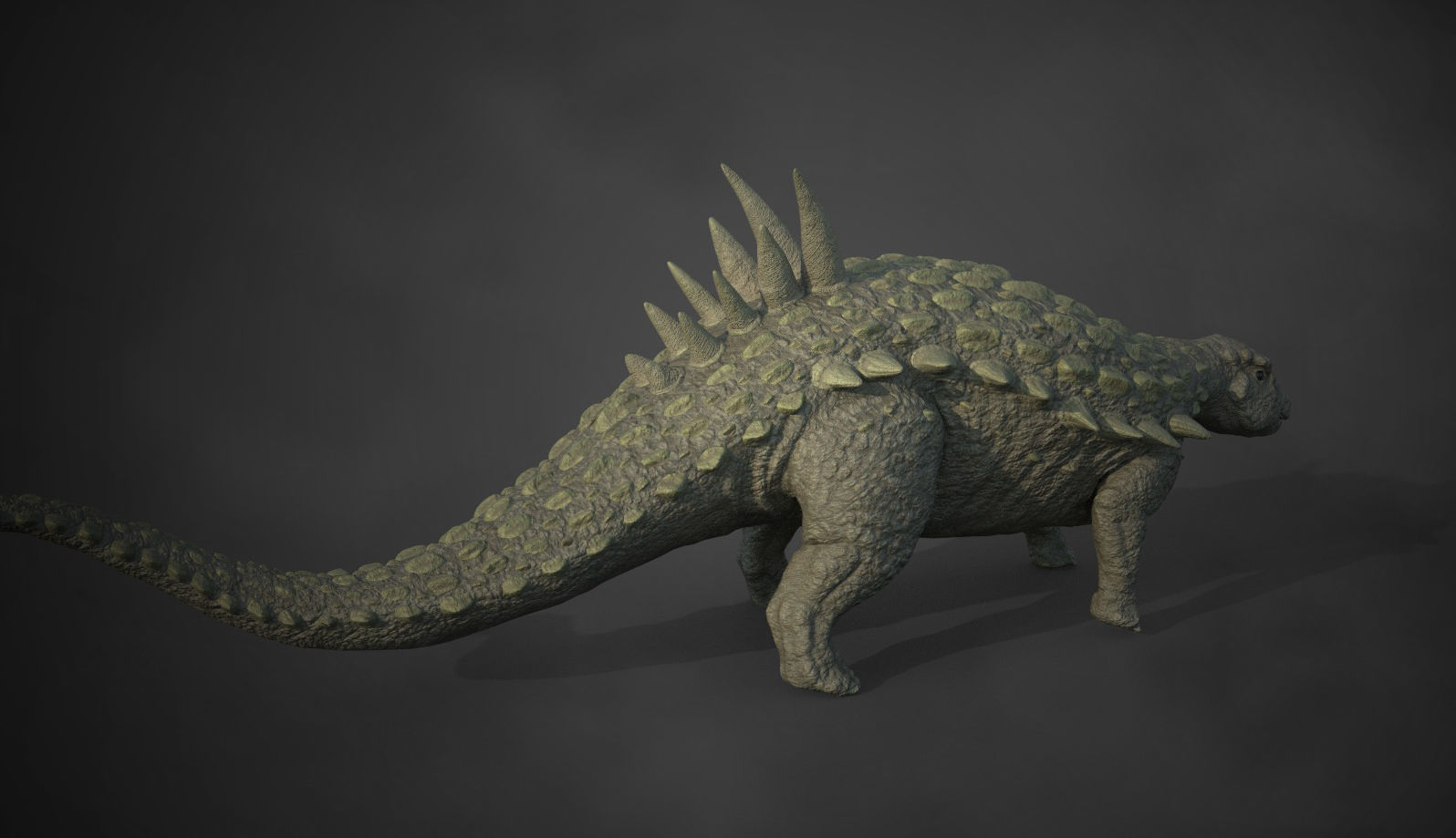 Acantholipan Gonzalezi Dinosaur - Nodosaurus family  Low-poly 3D model_7