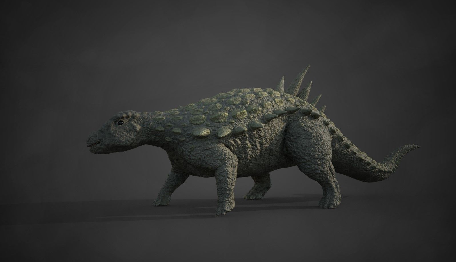 Acantholipan Gonzalezi Dinosaur - Nodosaurus family  Low-poly 3D model_3