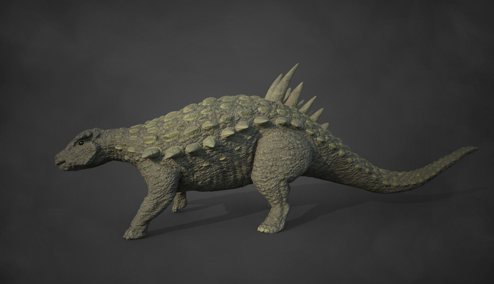 Acantholipan Gonzalezi Dinosaur - Nodosaurus family  Low-poly 3D model_5