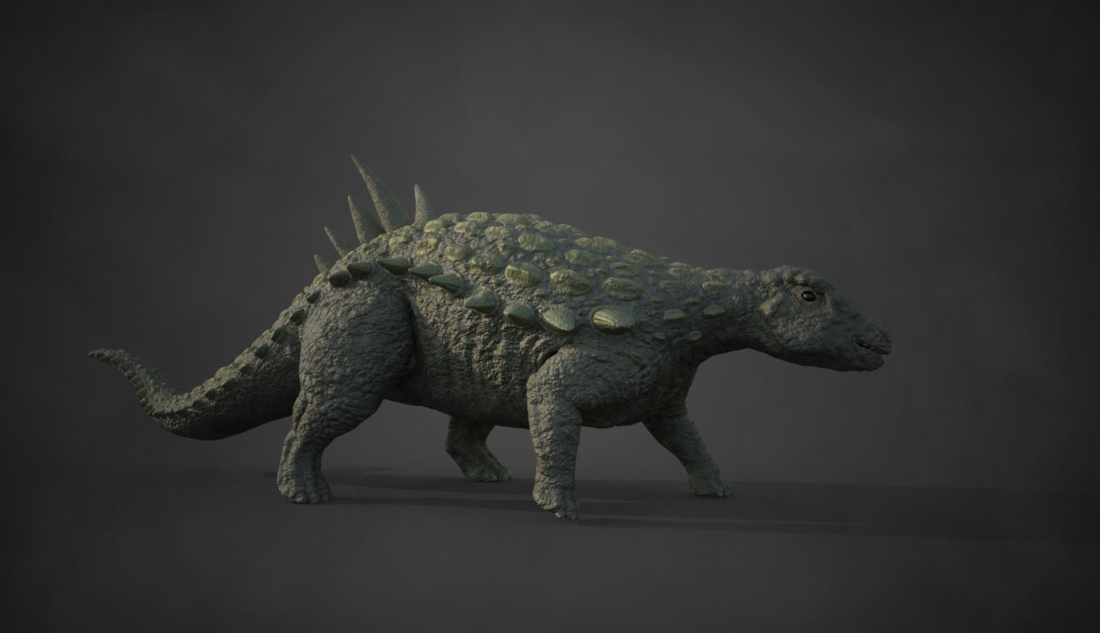 Acantholipan Gonzalezi Dinosaur - Nodosaurus family  Low-poly 3D model_8