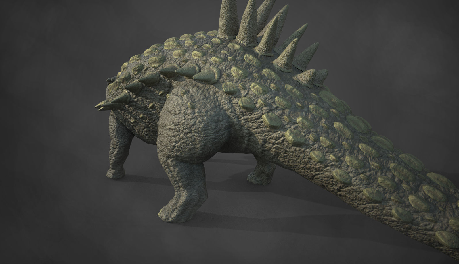 Acantholipan Gonzalezi Dinosaur - Nodosaurus family  Low-poly 3D model_9