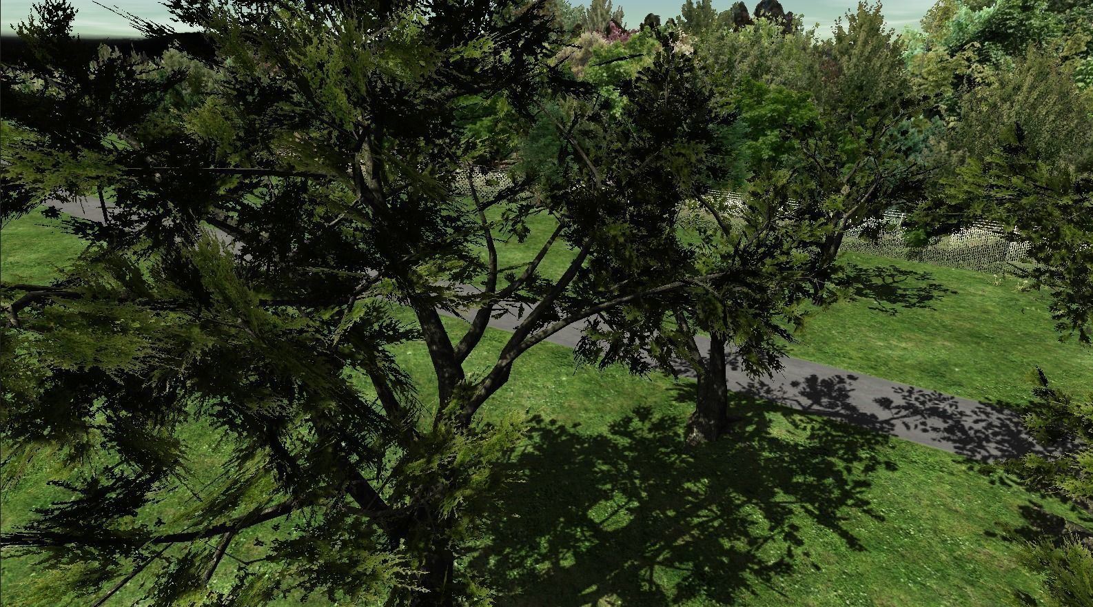 Broadleave Trees Low-poly 3D model_5