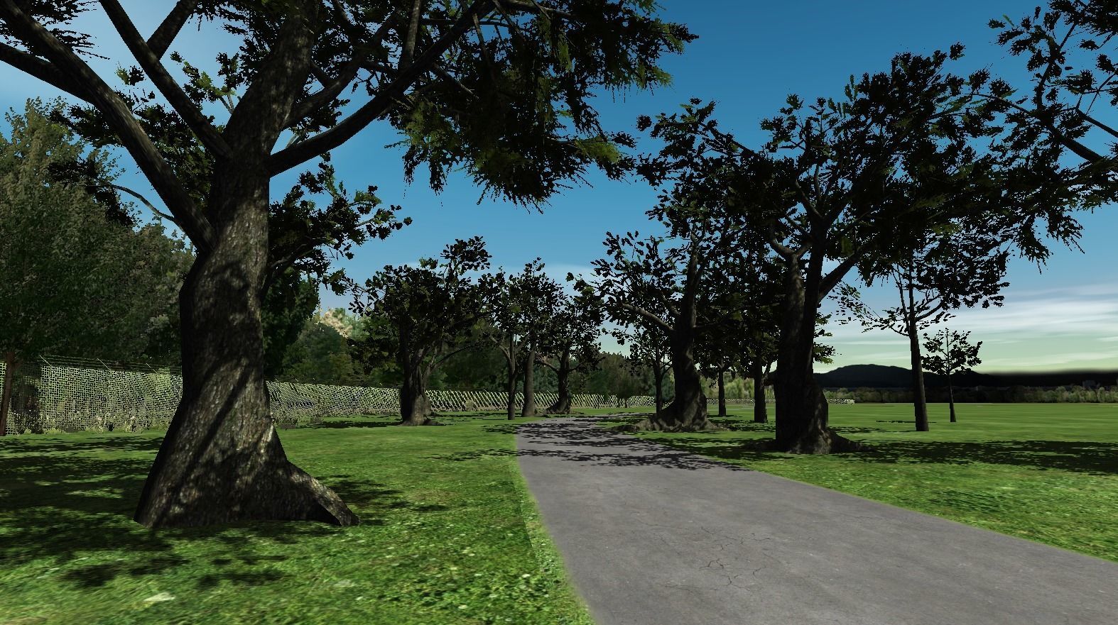 Broadleave Trees Low-poly 3D model_11