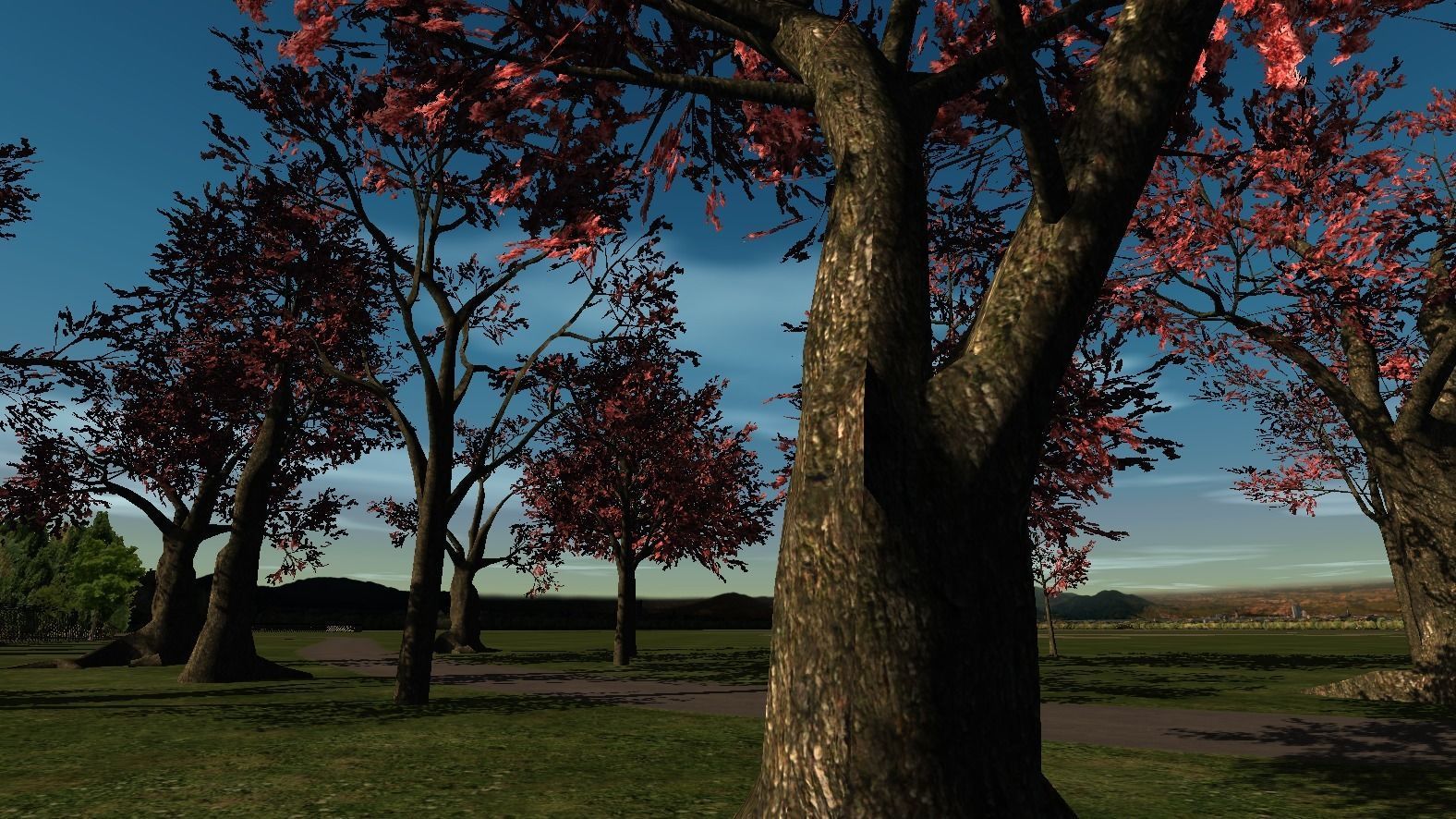 Broadleave Trees Low-poly 3D model_3