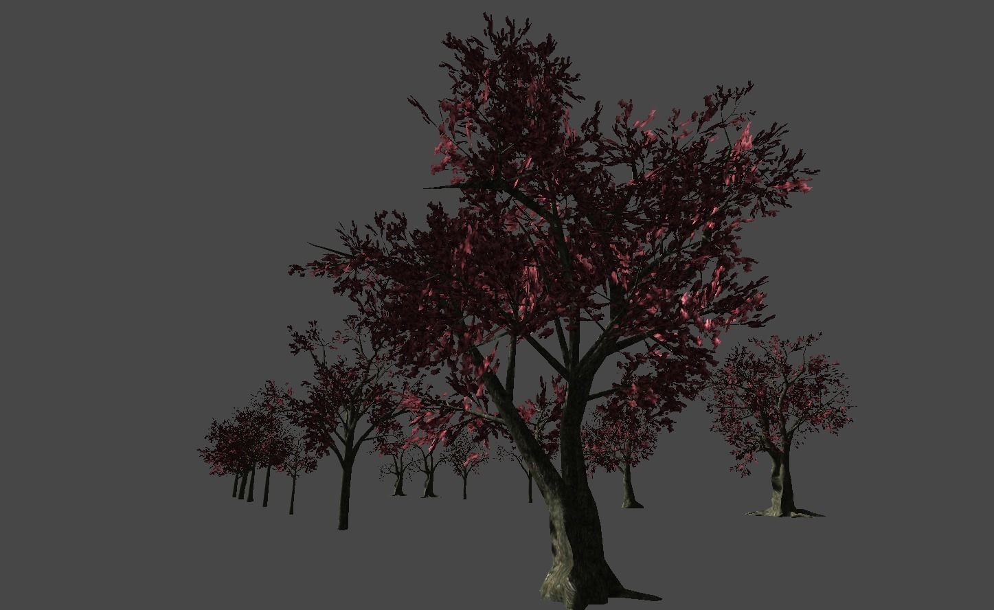 Broadleave Trees Low-poly 3D model_14
