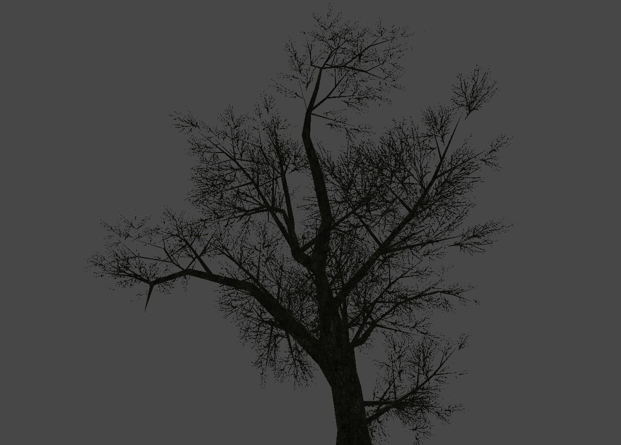 Broadleave Trees Low-poly 3D model_12