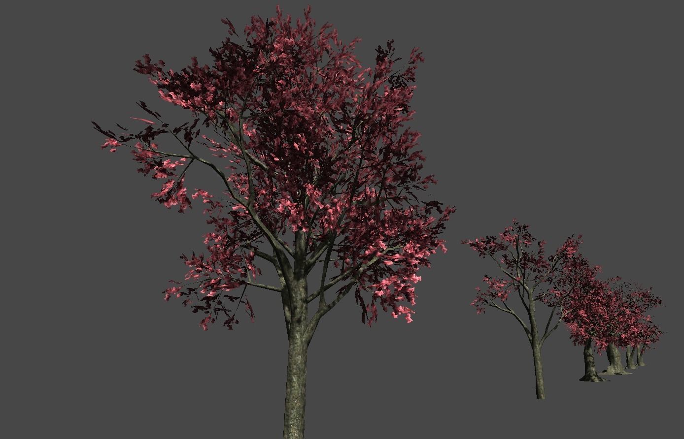 Broadleave Trees Low-poly 3D model_10