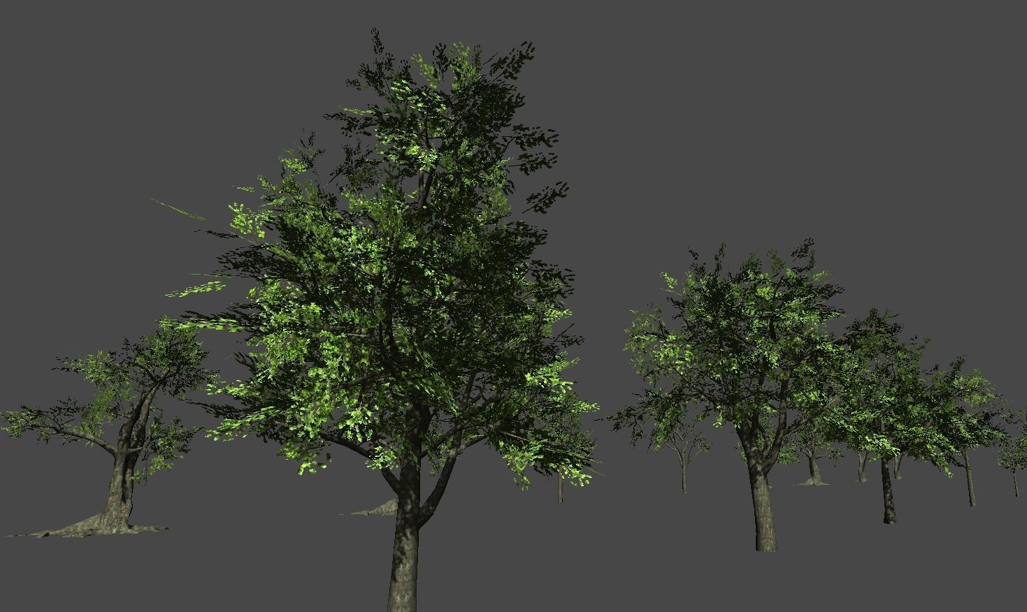 Broadleave Trees Low-poly 3D model_9