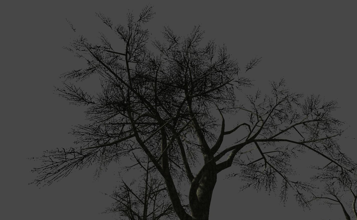 Broadleave Trees Low-poly 3D model_13