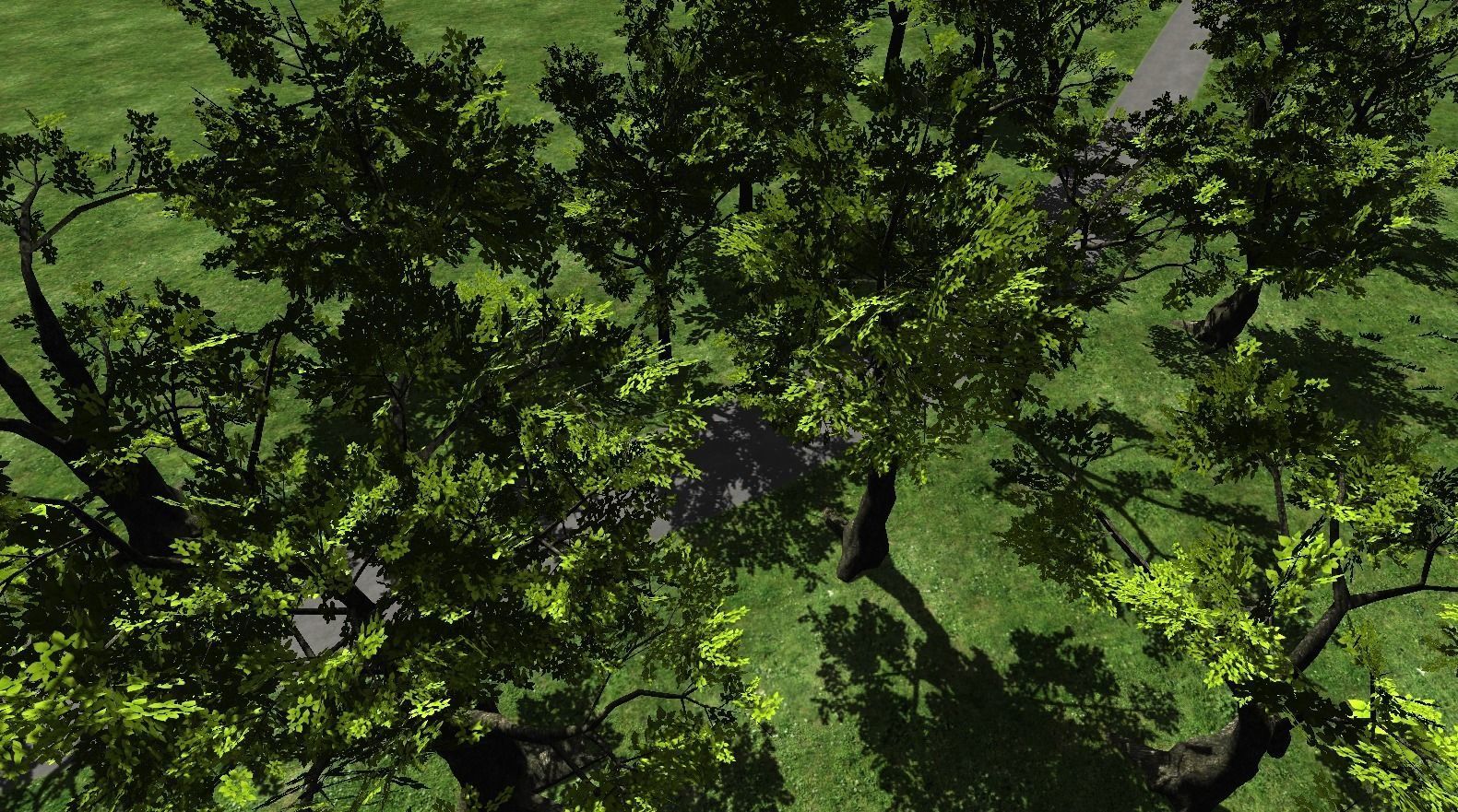 Broadleave Trees Low-poly 3D model_1