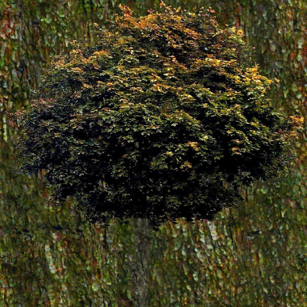 Shopping mall Low-poly 3D model_12