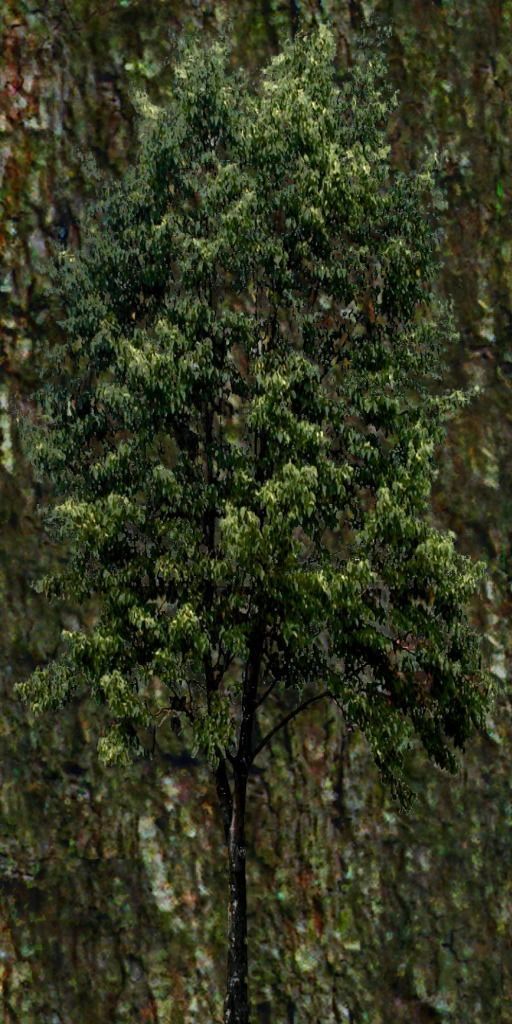 Shopping mall Low-poly 3D model_10