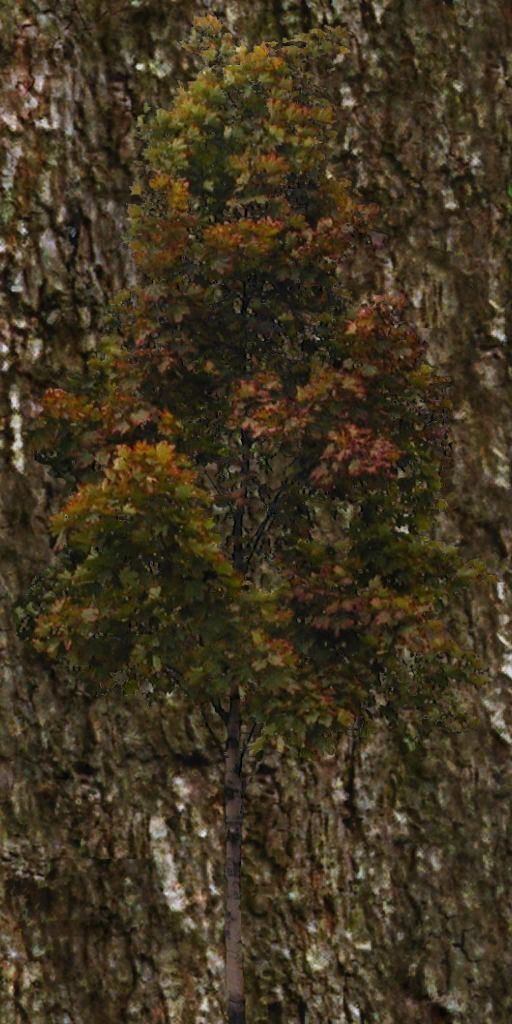 Construction site Low-poly 3D model_8