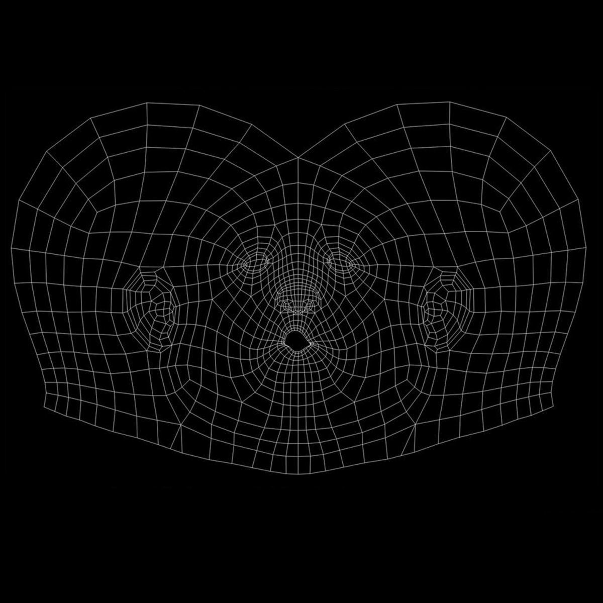 X-Ray Male Face Unrigged 3D model_13