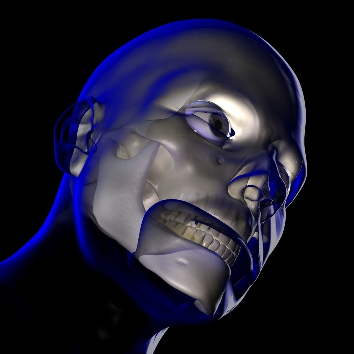 X-Ray Male Face Unrigged 3D model_1
