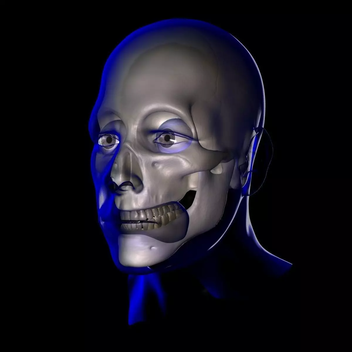 X-Ray Male Face Unrigged 3D model_0