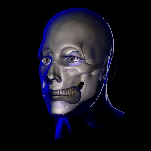 X-Ray Male Face 3D model