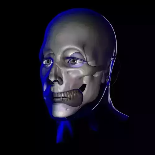 X-Ray Male Face