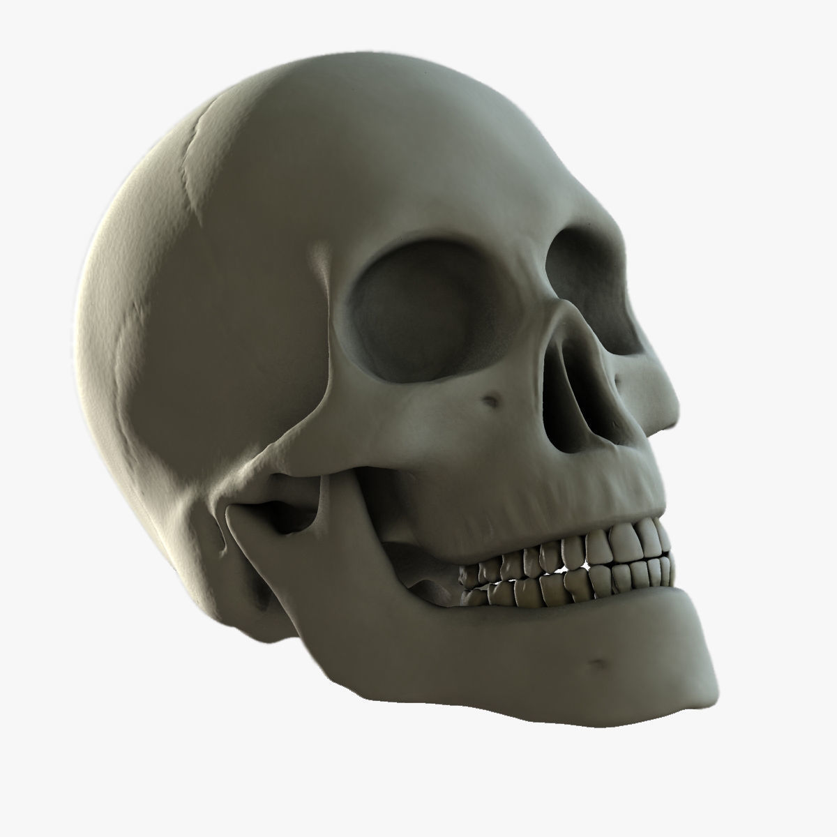 X-Ray Male Face 3D model_3