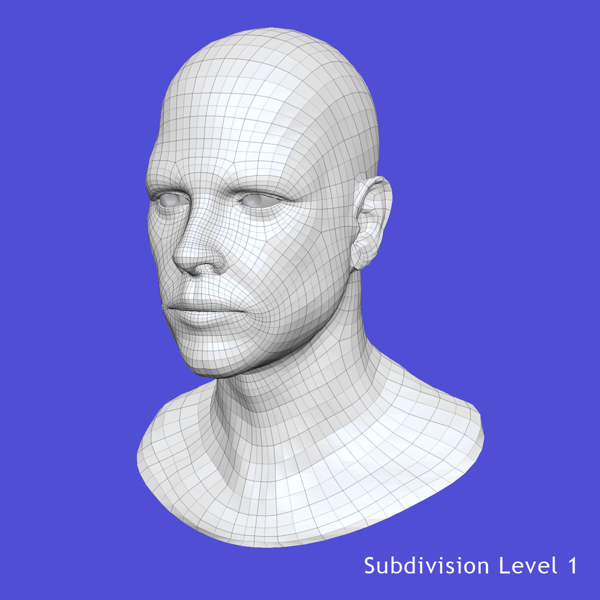 X-Ray Male Face 3D model_9