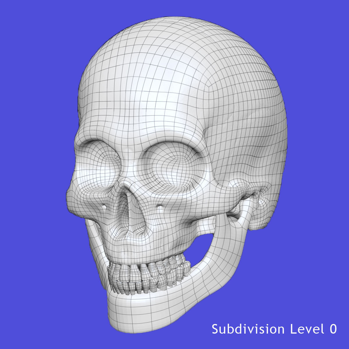 X-Ray Male Face 3D model_10