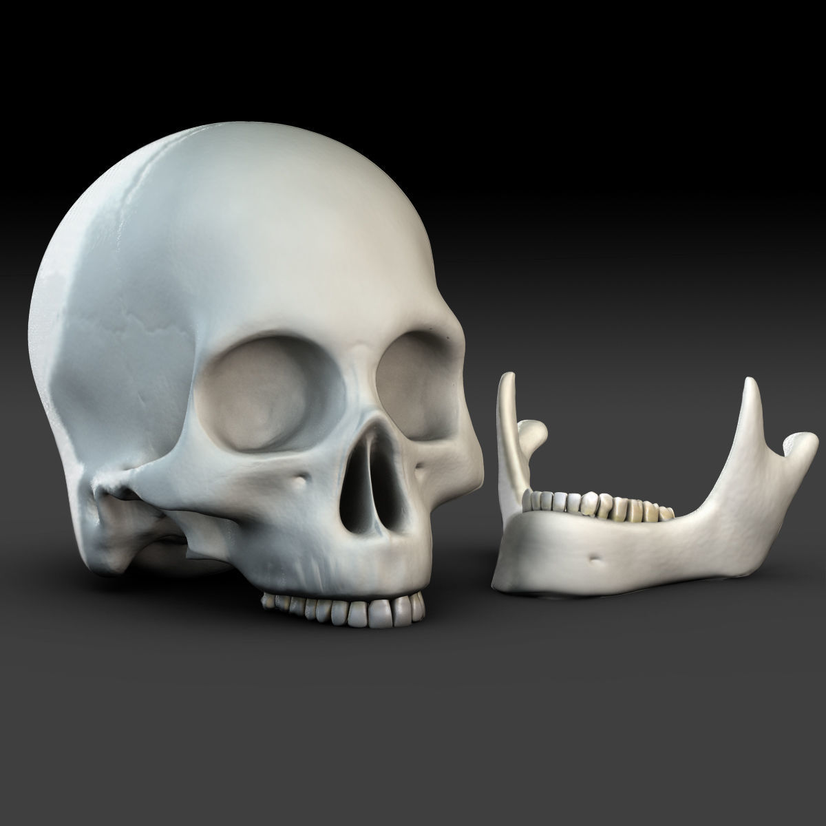 X-Ray Male Face 3D model_6