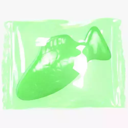 Wrapped Green Fish 3D model