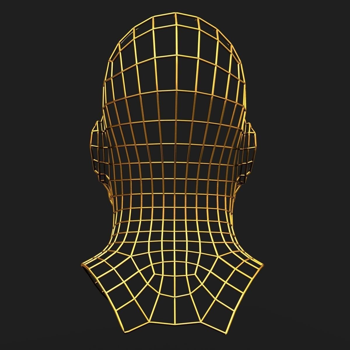 Human Face Wireframe Geometry 3D model_6