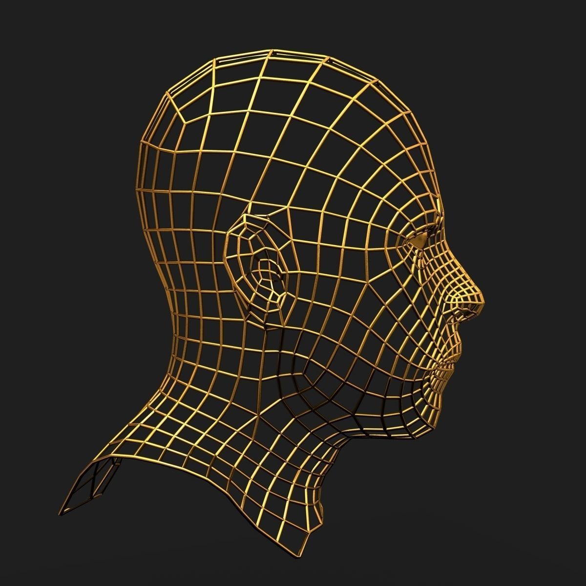 Human Face Wireframe Geometry 3D model_1