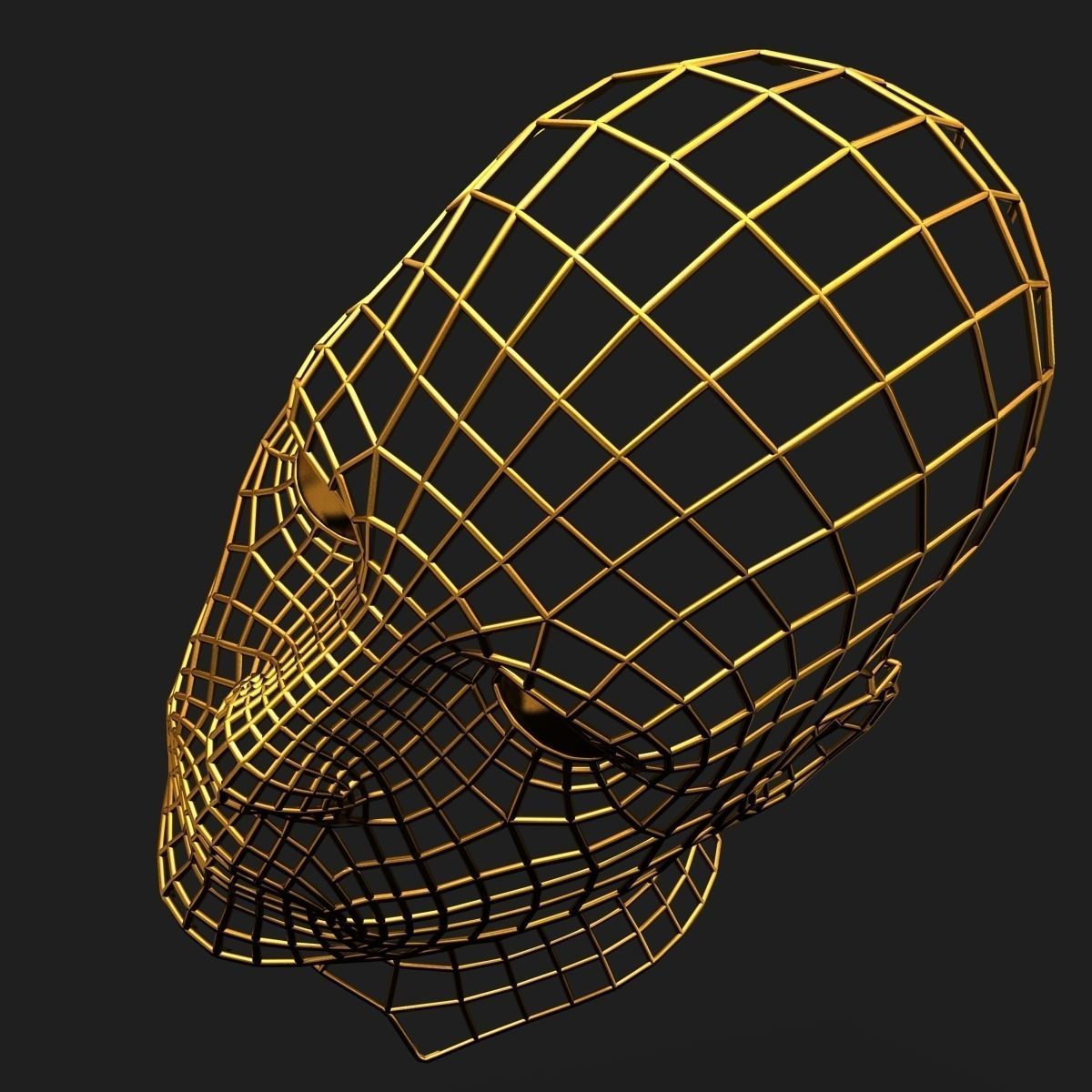 Human Face Wireframe Geometry 3D model_3