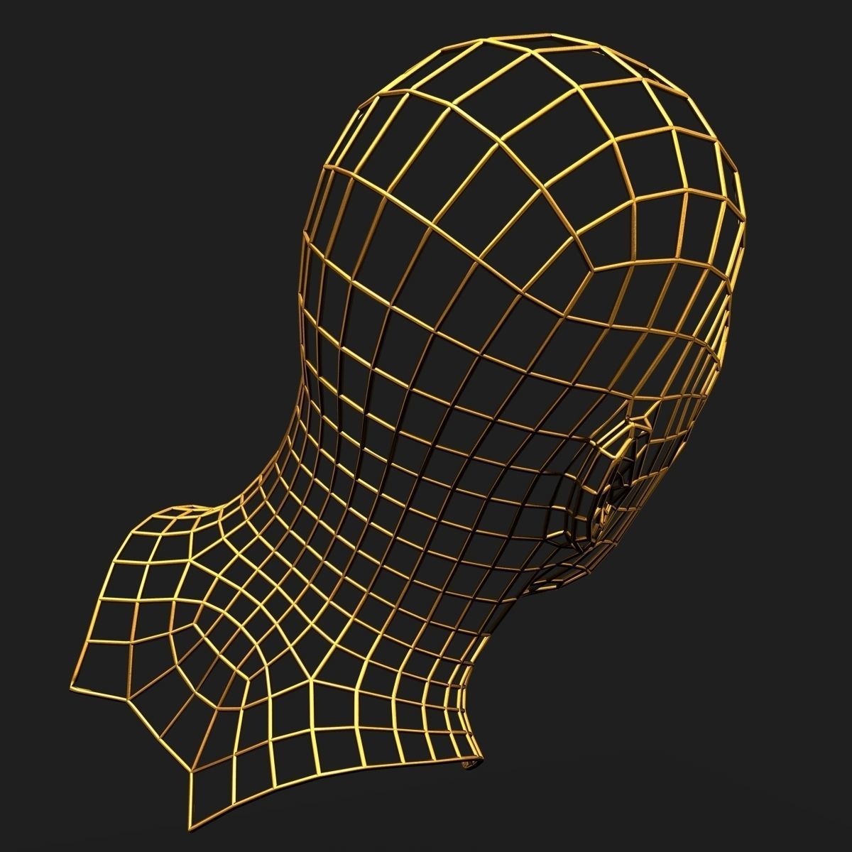 Human Face Wireframe Geometry 3D model_5