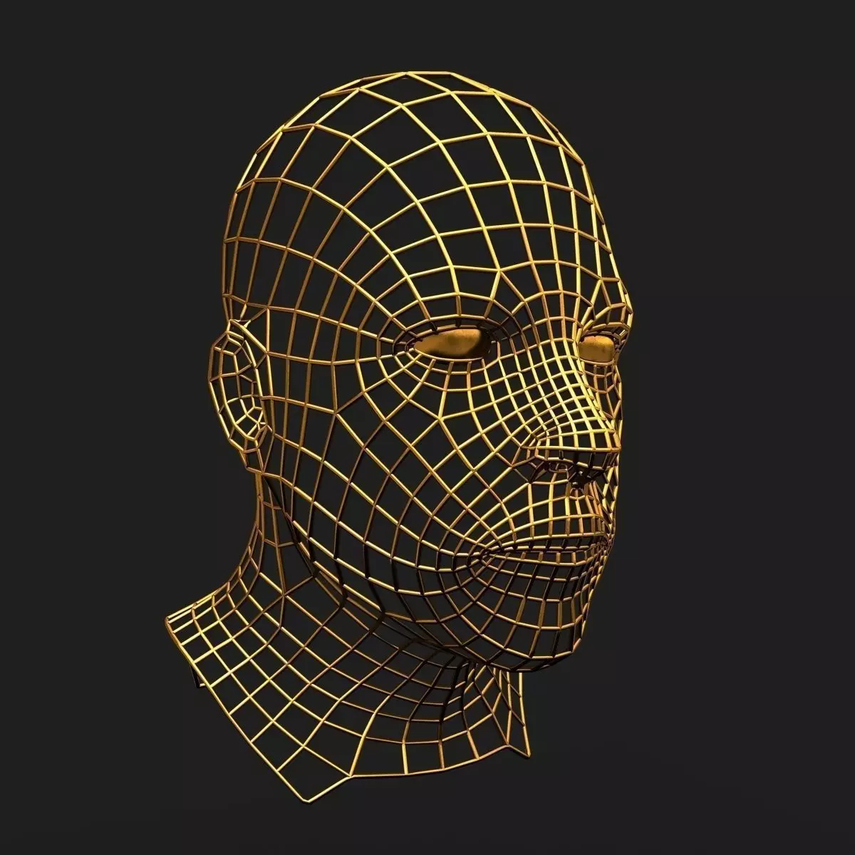 Human Face Wireframe Geometry 3D model_0
