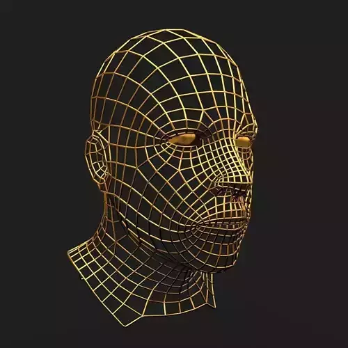 Human Face Wireframe Geometry 3D model