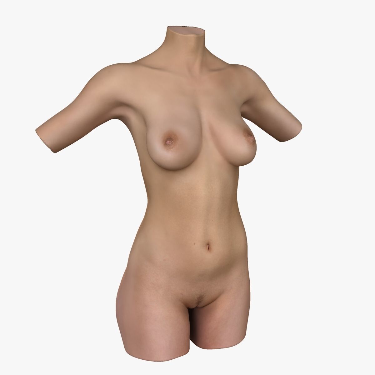 Full Female Torso Anatomy 3D model_42