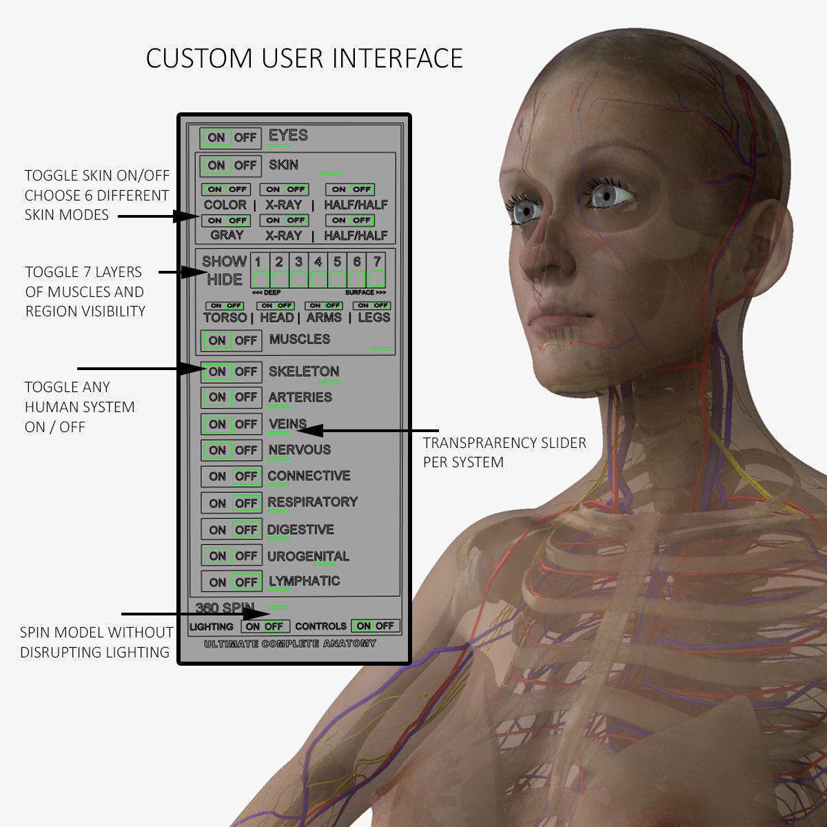 Ultimate Complete Male and Female Anatomy 3DSmax and Maya Low-poly 3D model_11