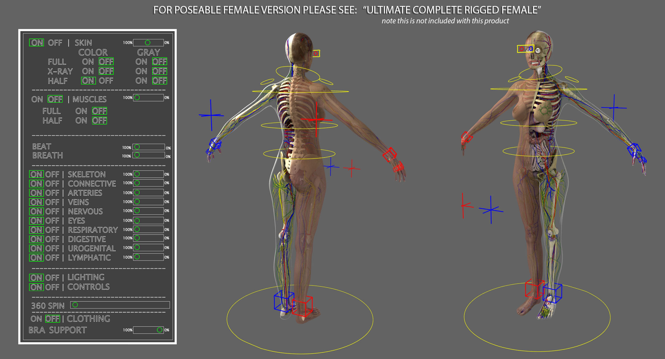 Ultimate Complete Male and Female Anatomy 3DSmax and Maya Low-poly 3D model_12