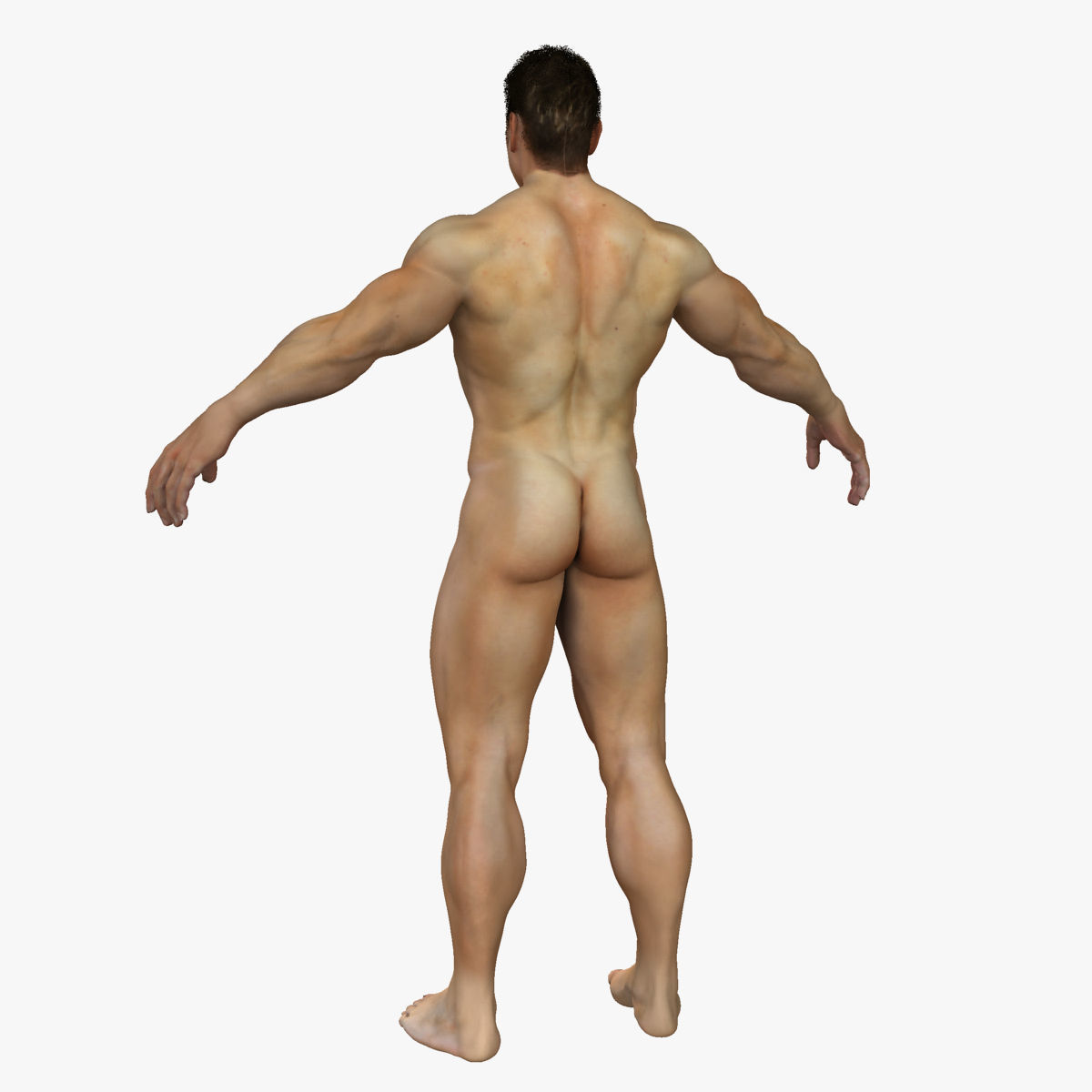 Ultimate Complete Male and Female Anatomy 3DSmax and Maya Low-poly 3D model_19