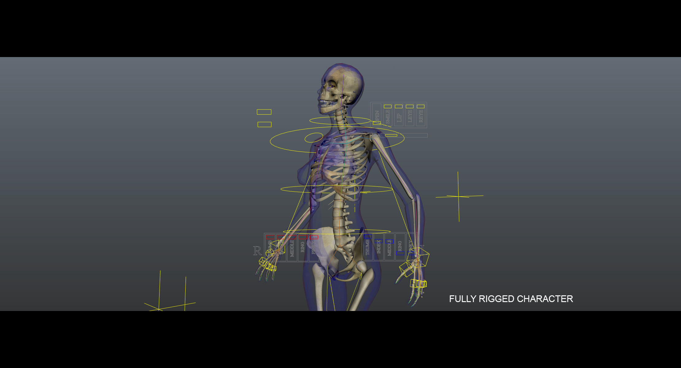 Full Male And Female Body X-Ray 3D model_18