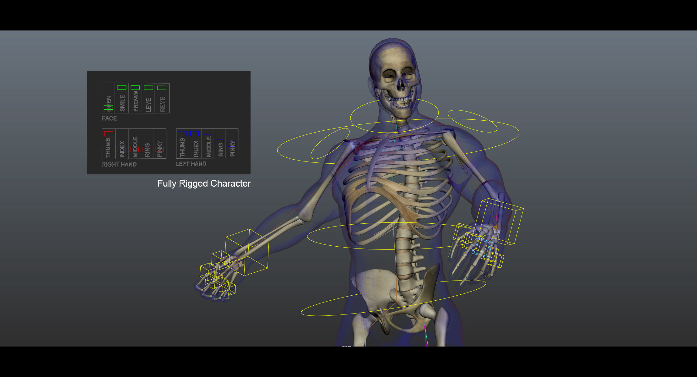 Full Male And Female Body X-Ray 3D model_24