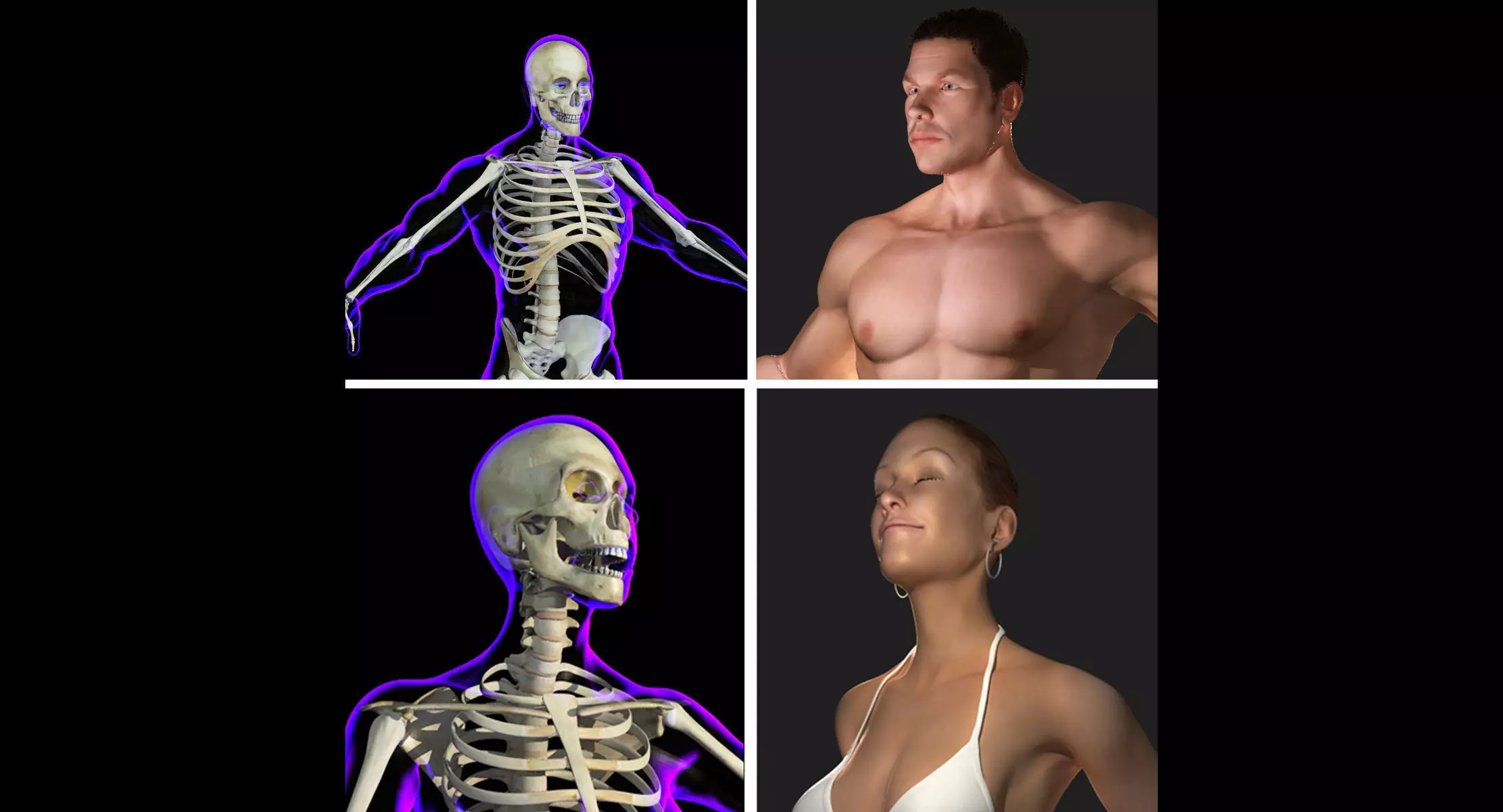 Full Male And Female Body X-Ray 3D model_0