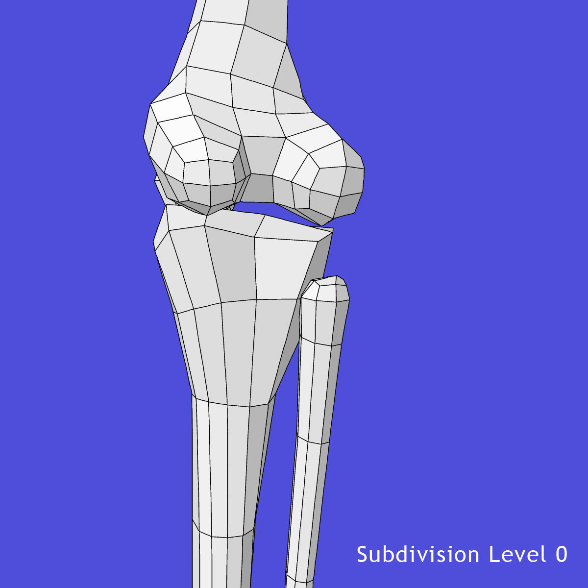 Full Male And Female Body X-Ray 3D model_46