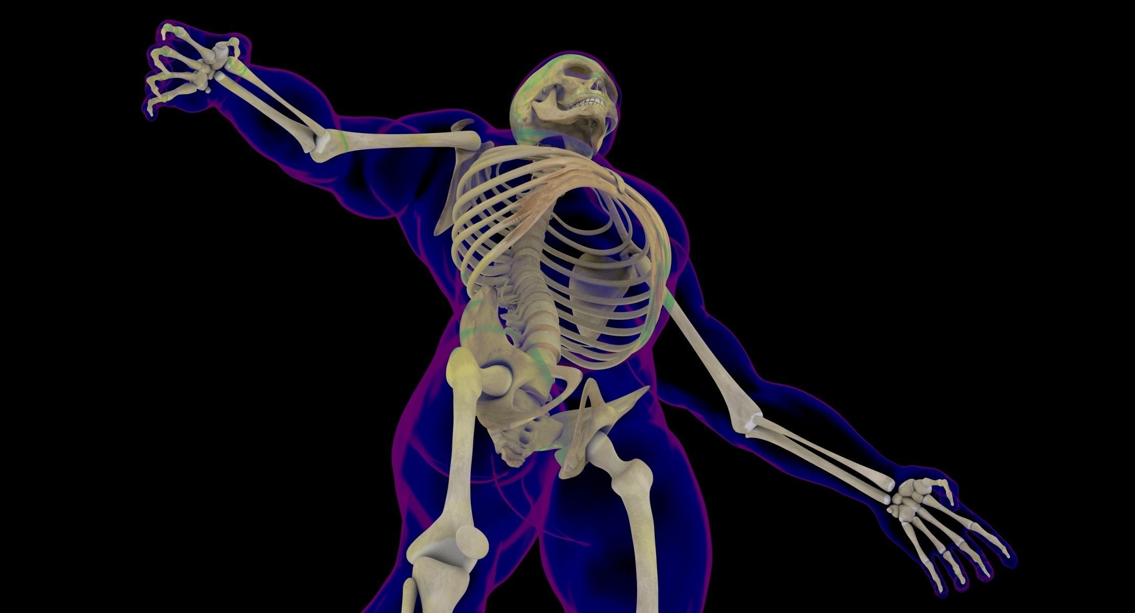 Full Male And Female Body X-Ray 3D model_22
