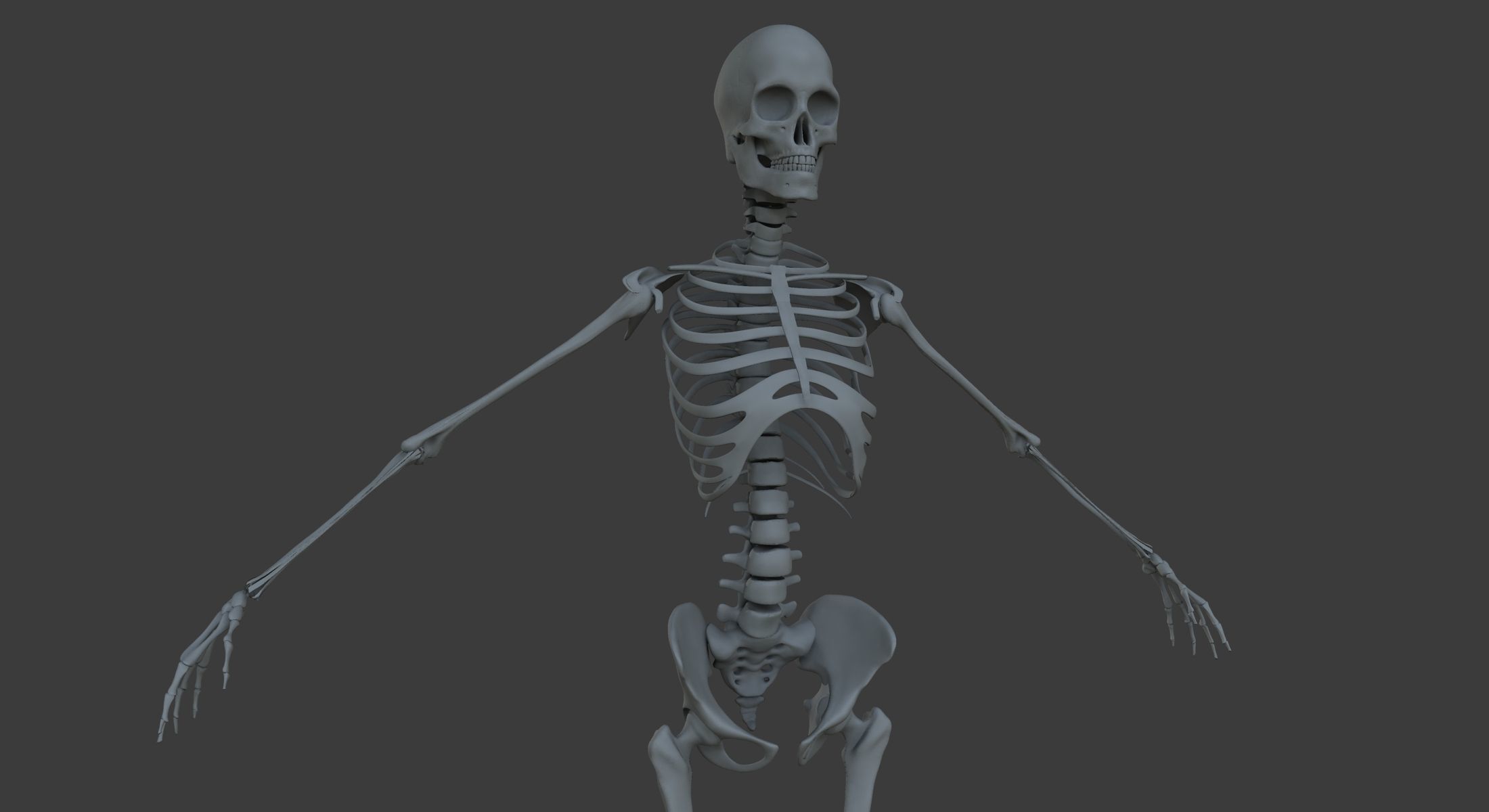 Male and Female Ultimate Anatomy Project 3D model_19