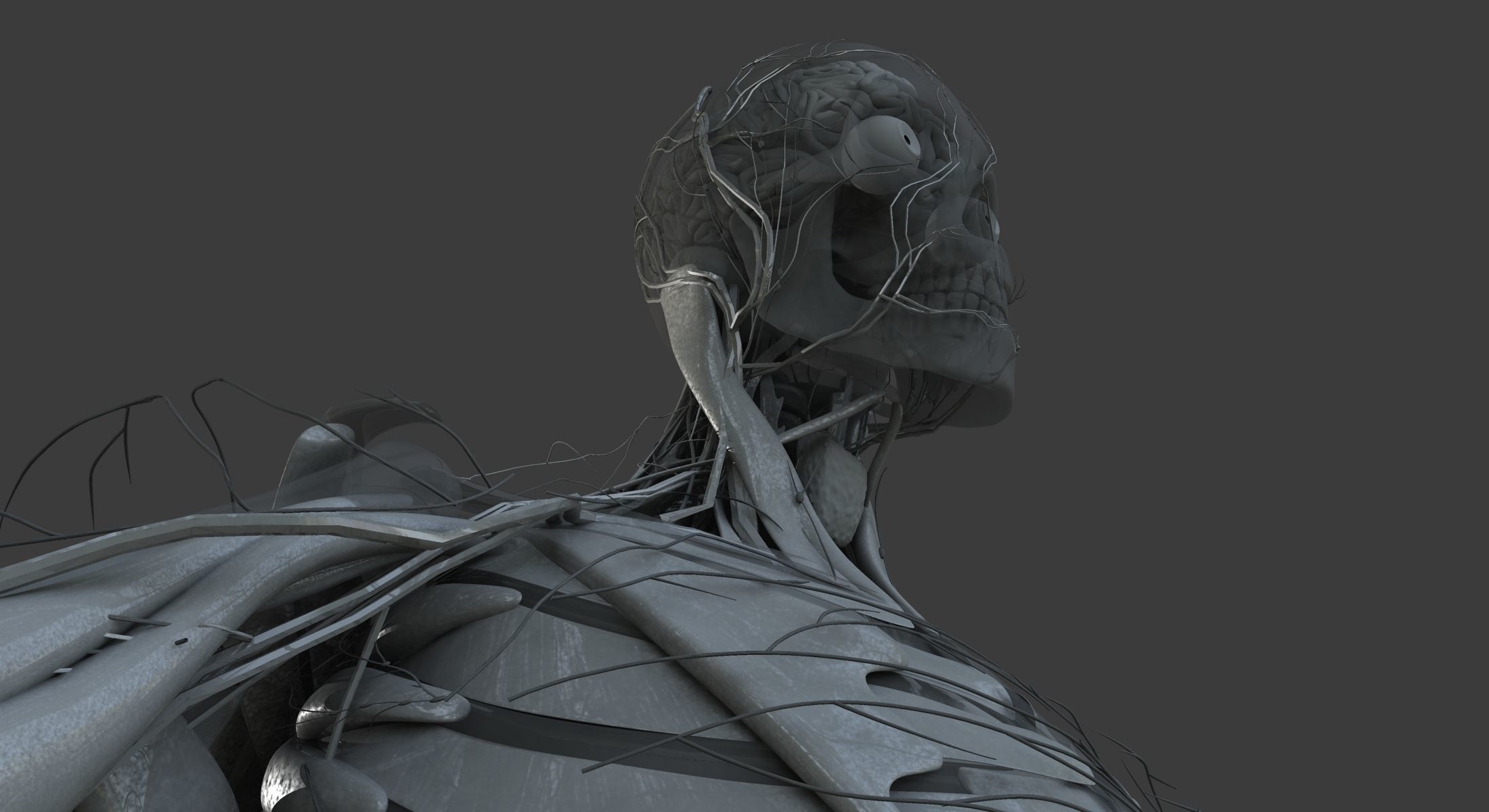 Male and Female Ultimate Anatomy Project 3D model_41